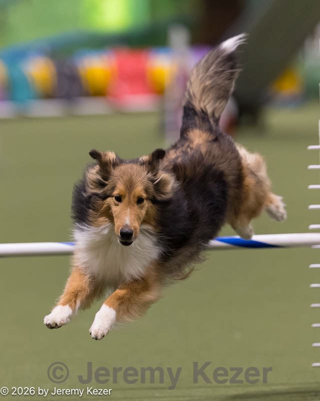 20260222-0059.jpg