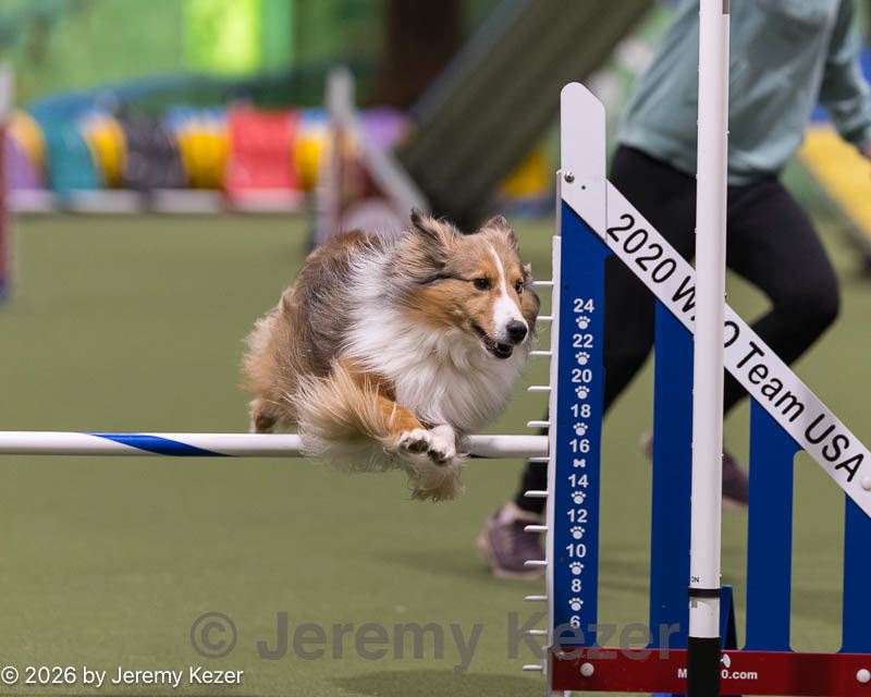 20260222-0069.jpg