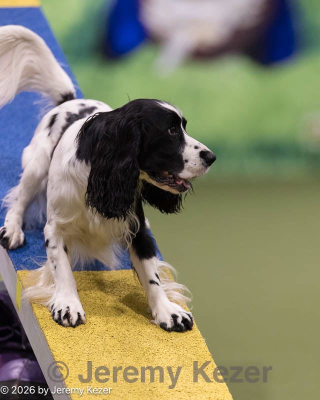 20260222-0093.jpg