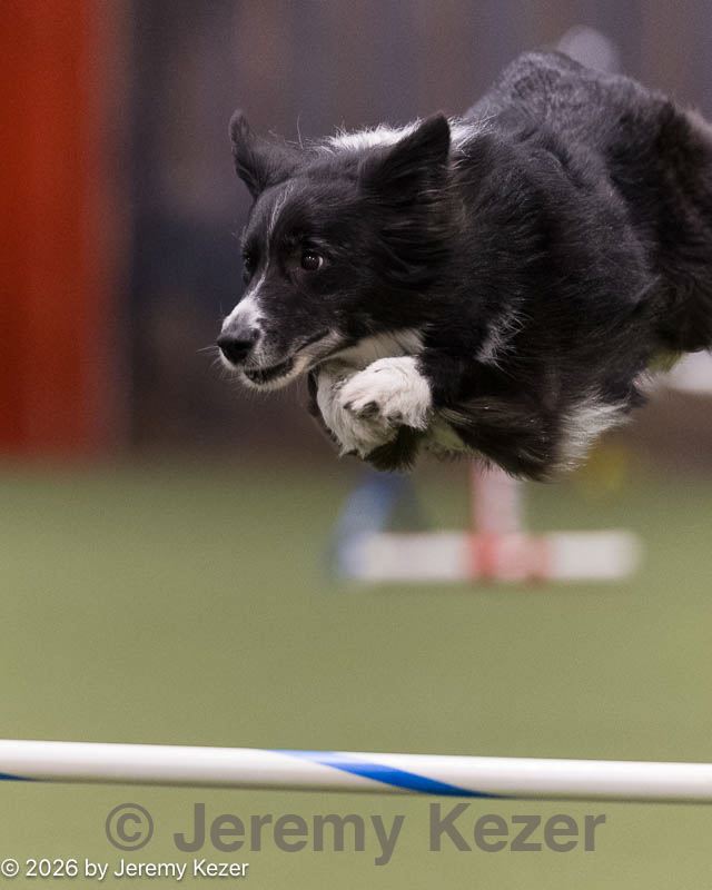 20260222-0099.jpg