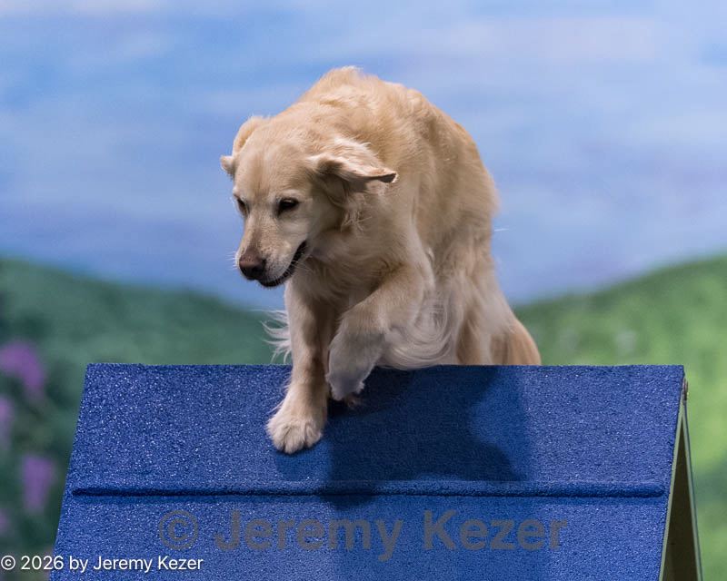 20260222-0108.jpg