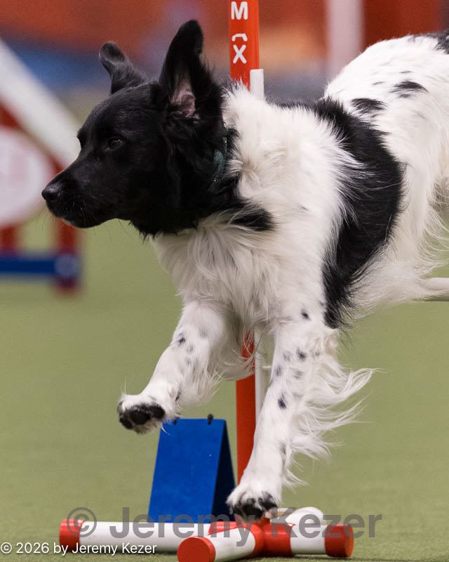 20260222-0142.jpg