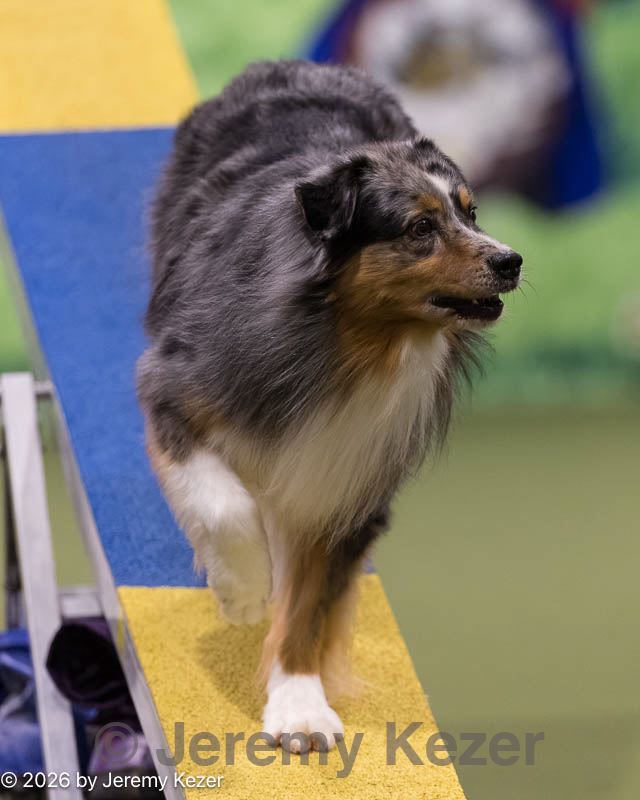 20260222-0151.jpg