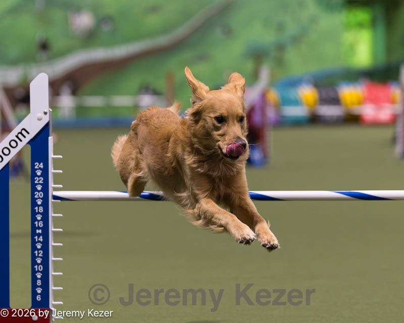 20260222-0012.jpg