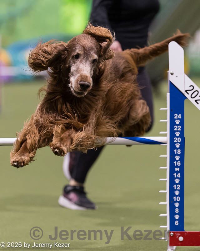 20260222-0040.jpg