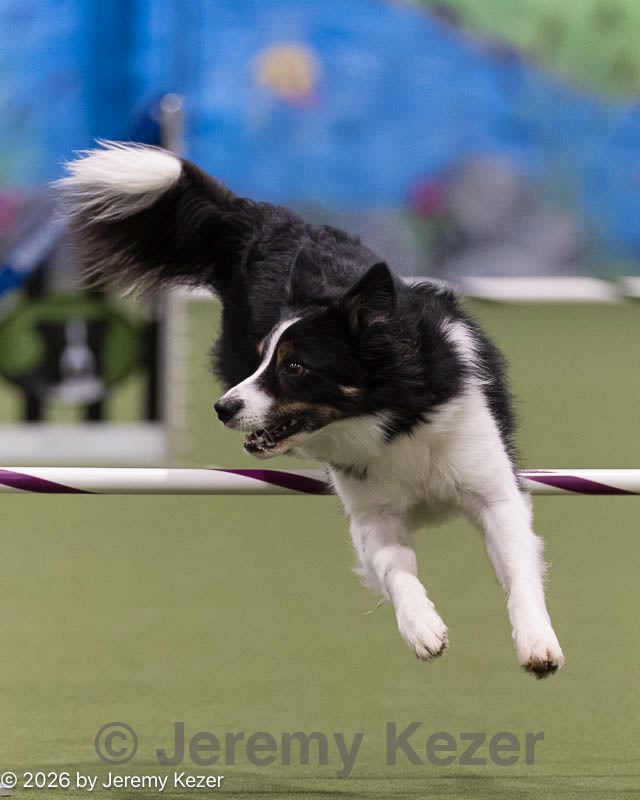 20260222-1483.jpg
