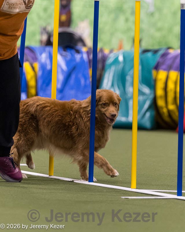 20260222-1489.jpg