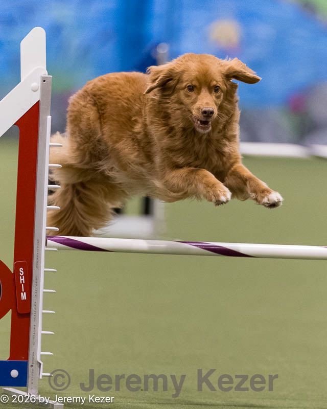 20260222-1493.jpg