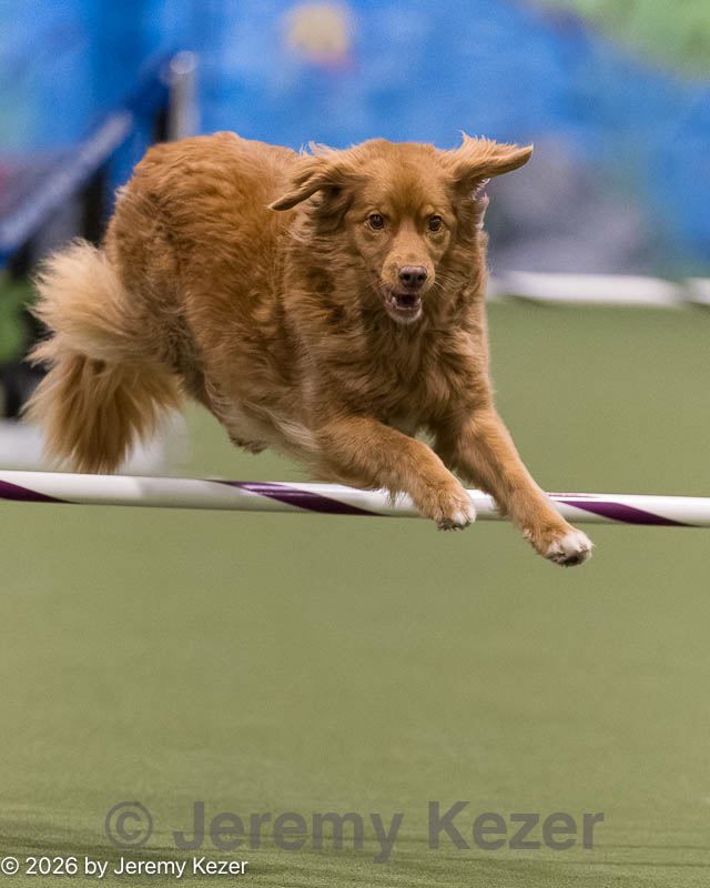 20260222-1494.jpg