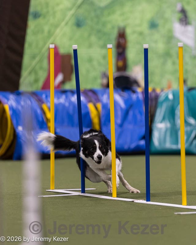 20260222-1501.jpg