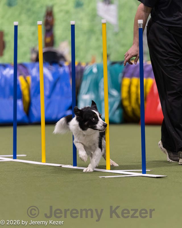 20260222-1505.jpg