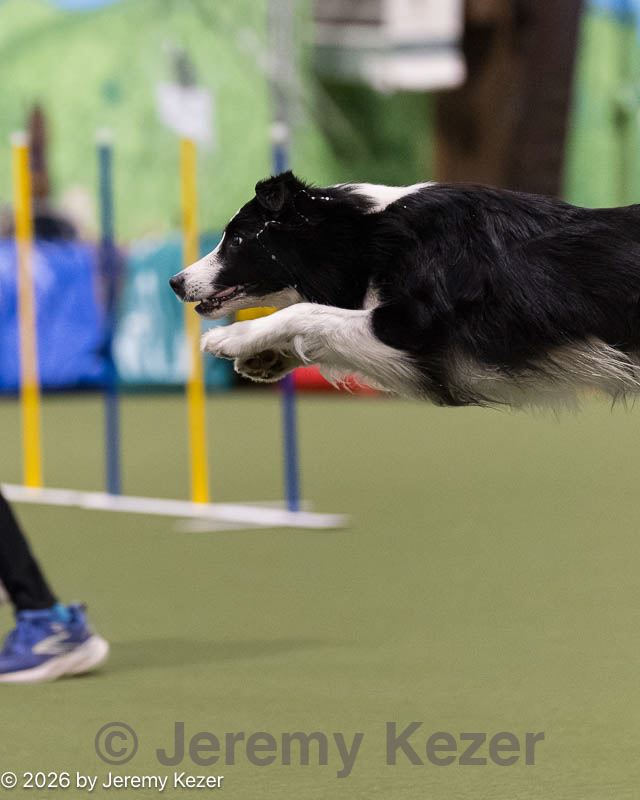 20260222-1399.jpg