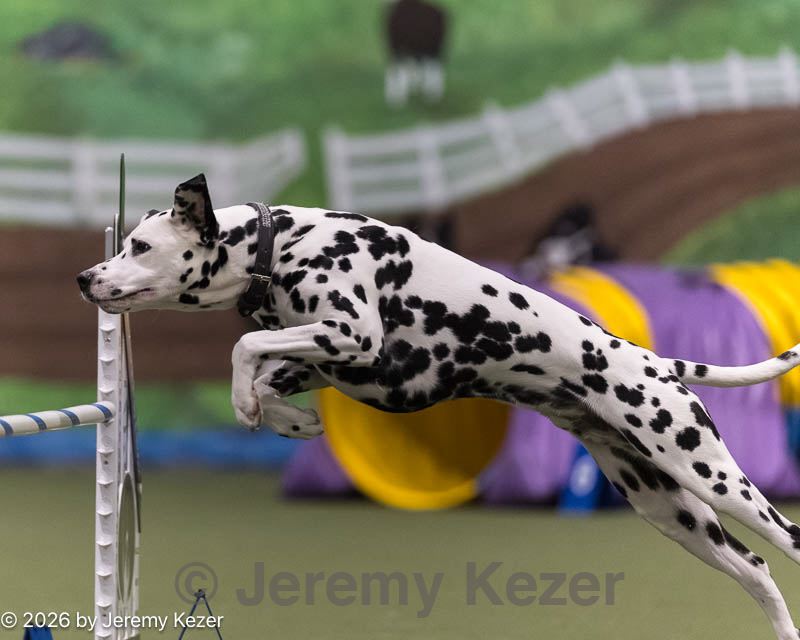 20260222-1443.jpg