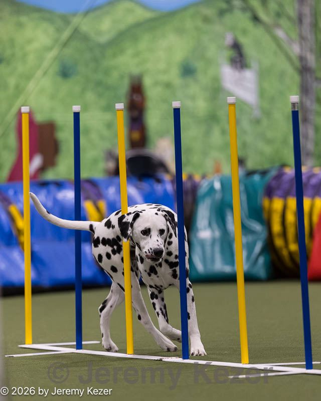 20260222-1446.jpg
