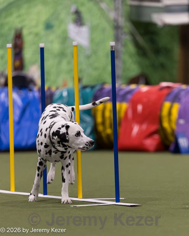20260222-1449.jpg