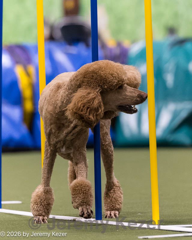 20260222-1367.jpg