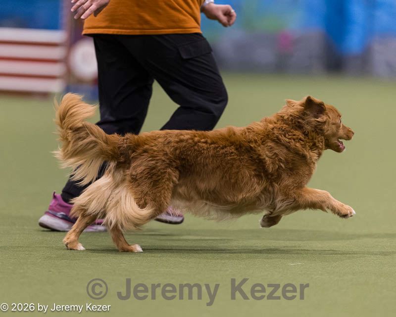 20260222-1132.jpg