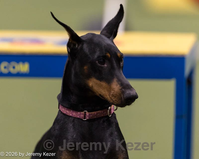 20260222-1089.jpg