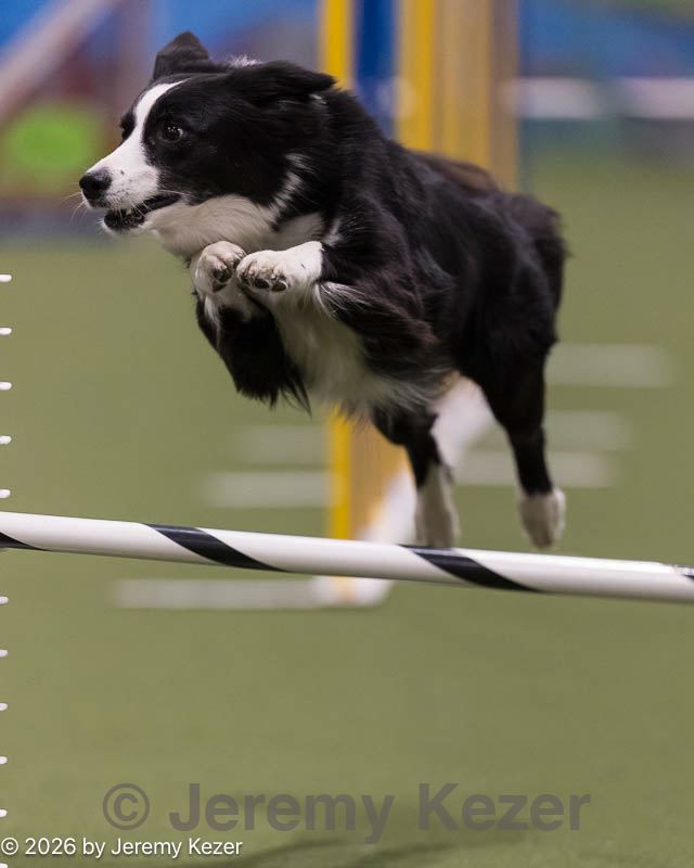20260222-1335.jpg