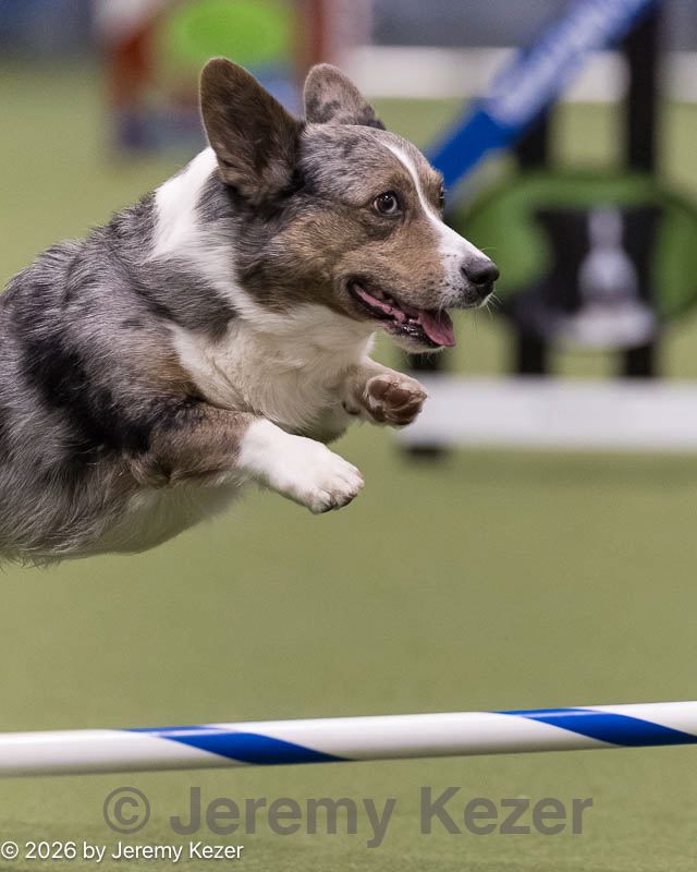 20260222-1277.jpg