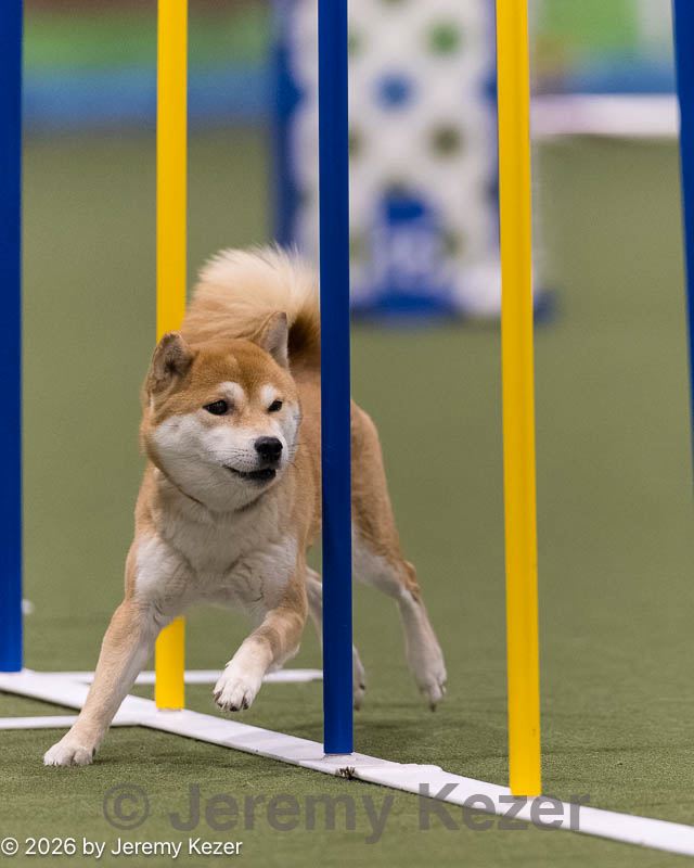 20260222-1247.jpg