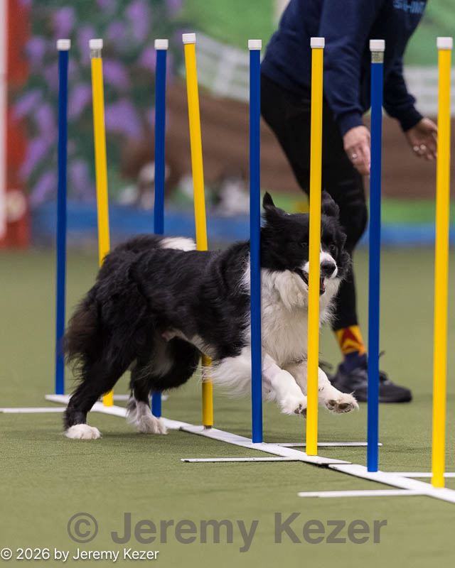 20260222-1186.jpg