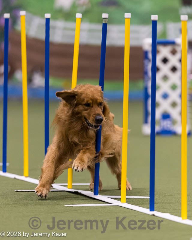 20260222-1158.jpg
