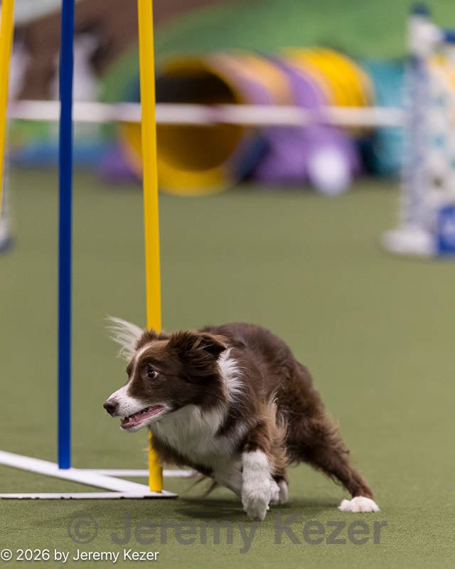 20260222-1179.jpg