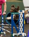 20260613-ccm-0151