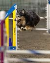20260613-ccm-0190