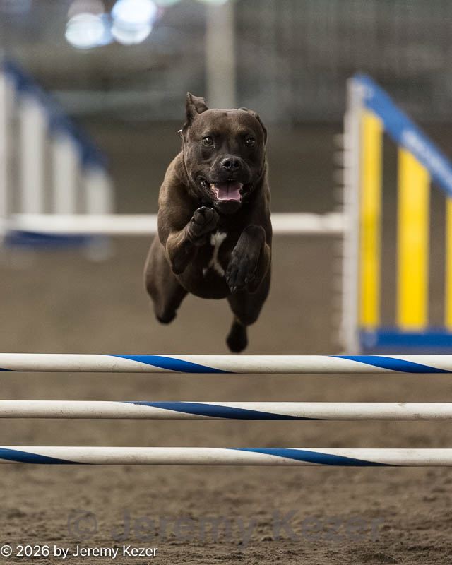 20260613-ccm-0165.jpg