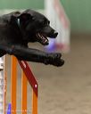 20260613-ccm-0295