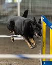 20260613-ccm-0306