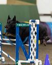 20260613-ccm-0307