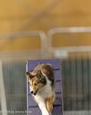 20260613-ccm-0503