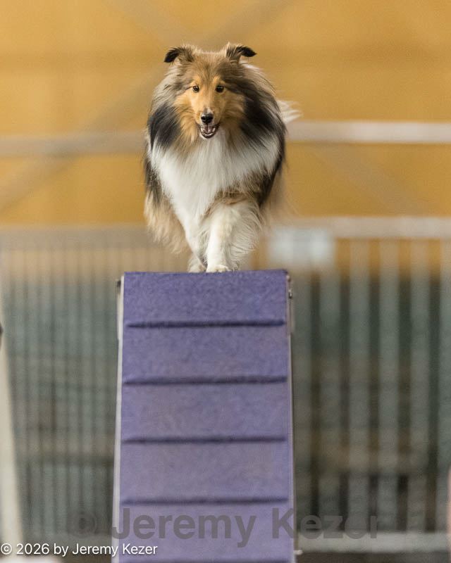 20260613-ccm-0489.jpg