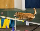 20260613-ccm-0586