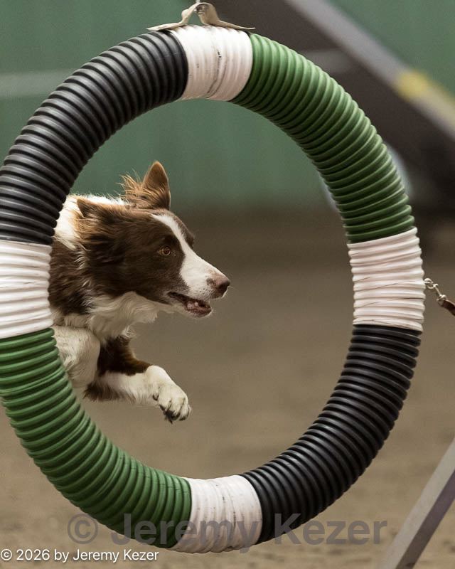 20260613-ccm-0545.jpg