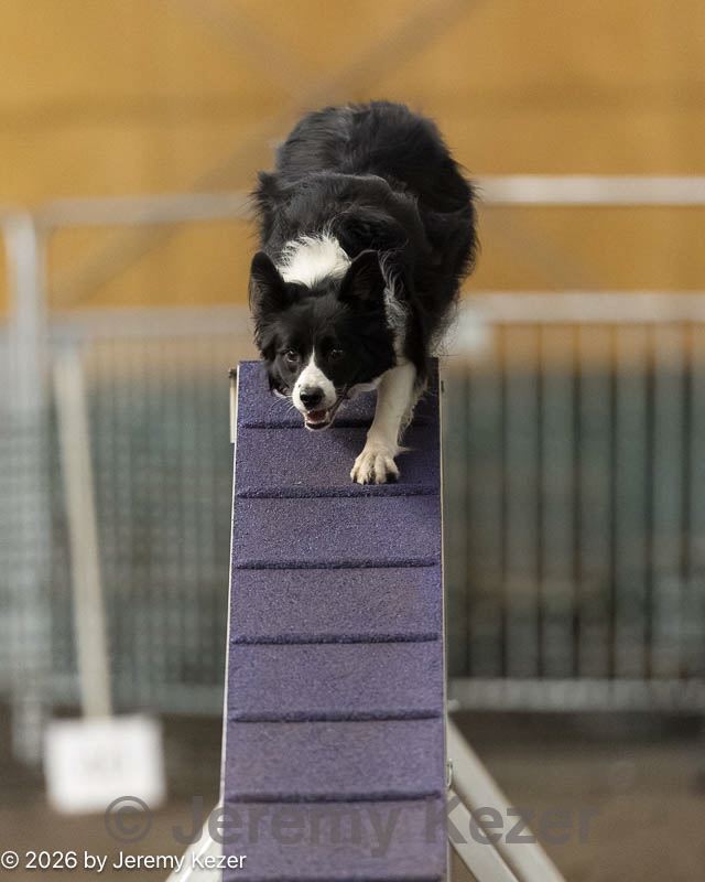 20260613-ccm-0754.jpg