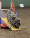 20260613-ccm-1364