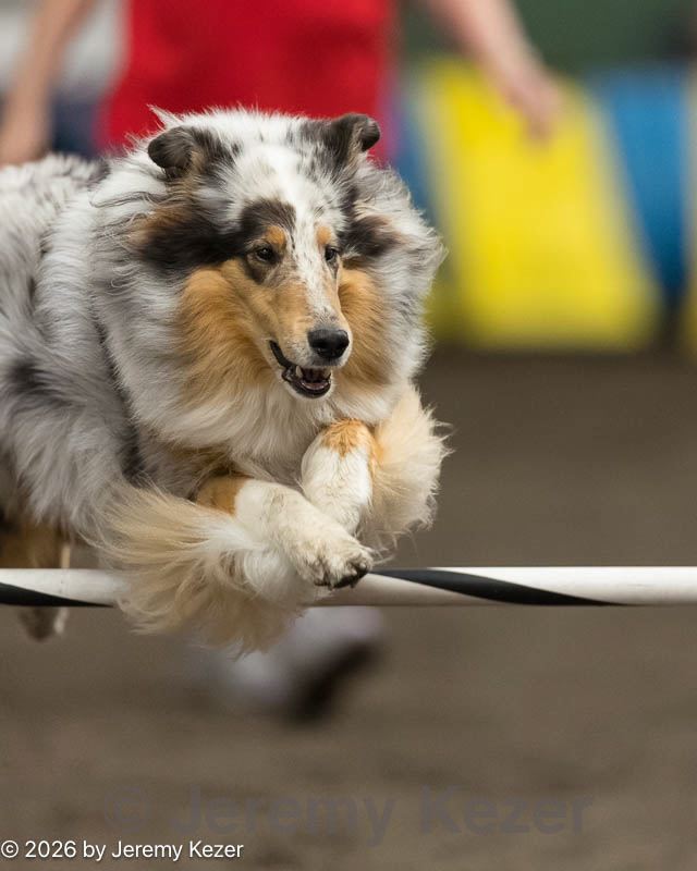20260613-ccm-1107.jpg
