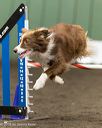 20260613-ccm-1207