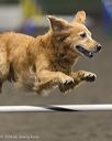 20260614-ccm-0144