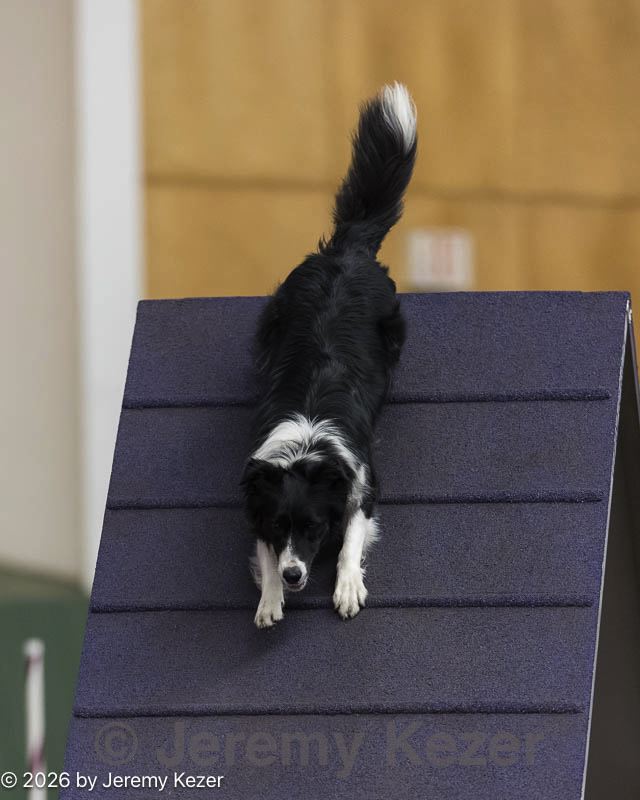 20260614-ccm-0114.jpg
