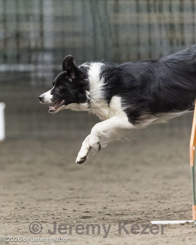 20260614-ccm-0087.jpg