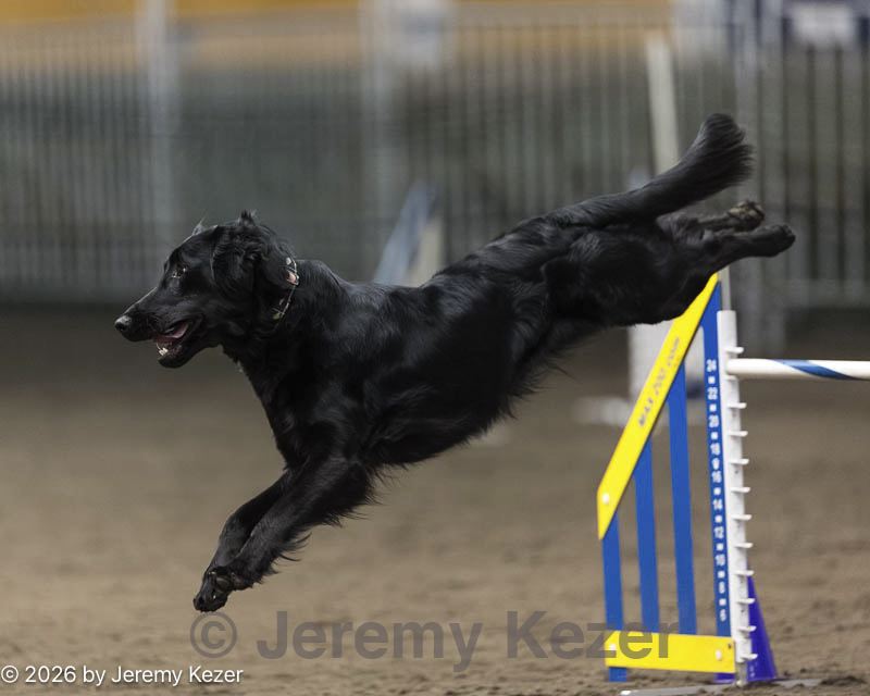 20260614-ccm-1206.jpg