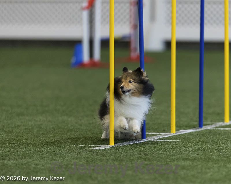 20260627-stcgny-0657.jpg