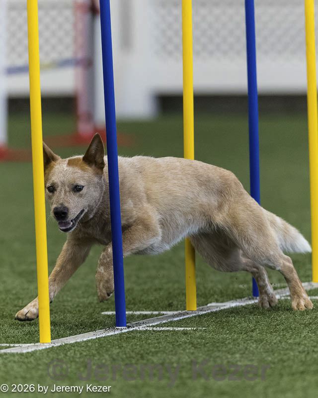 20260627-stcgny-0574.jpg