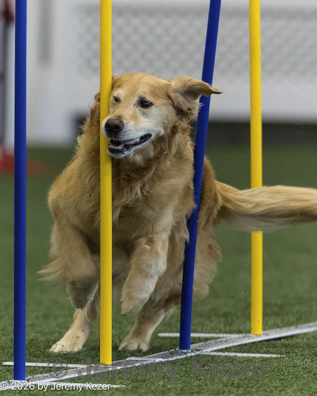 20260627-stcgny-0350.jpg