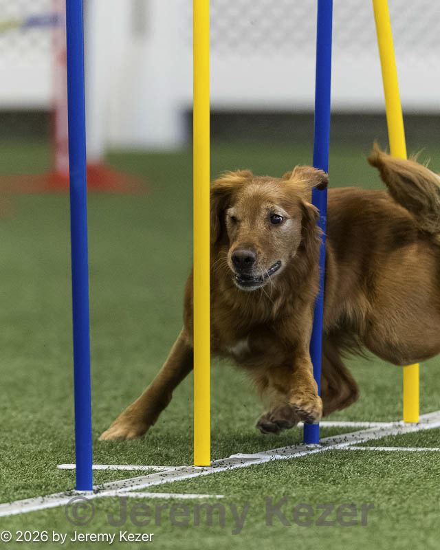 20260627-stcgny-0430.jpg